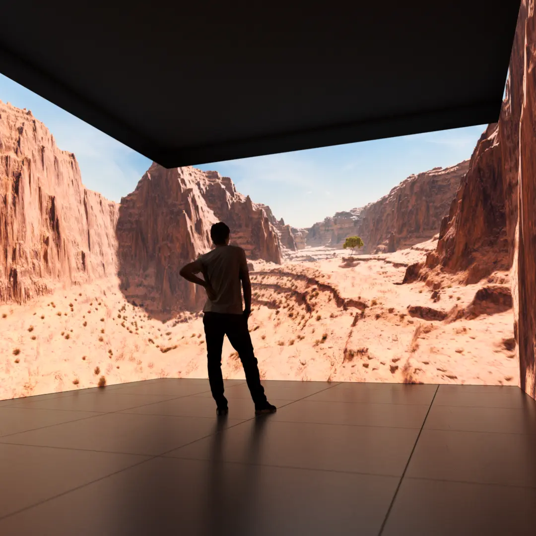 Immersive-room